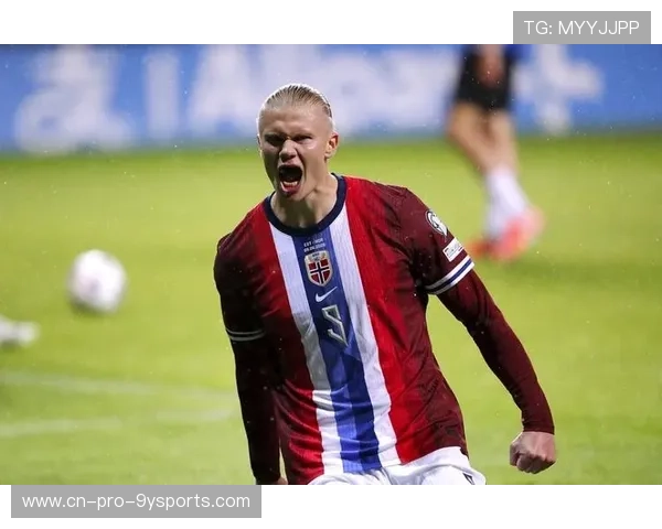 世界杯哈兰德中路强突一脚破网制胜全场欢呼